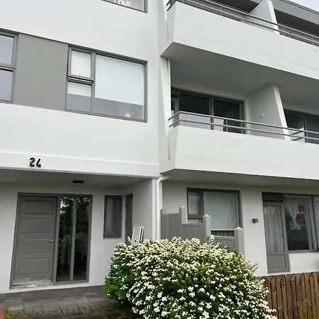 Viggsson Apartment Reikiavik Exterior foto